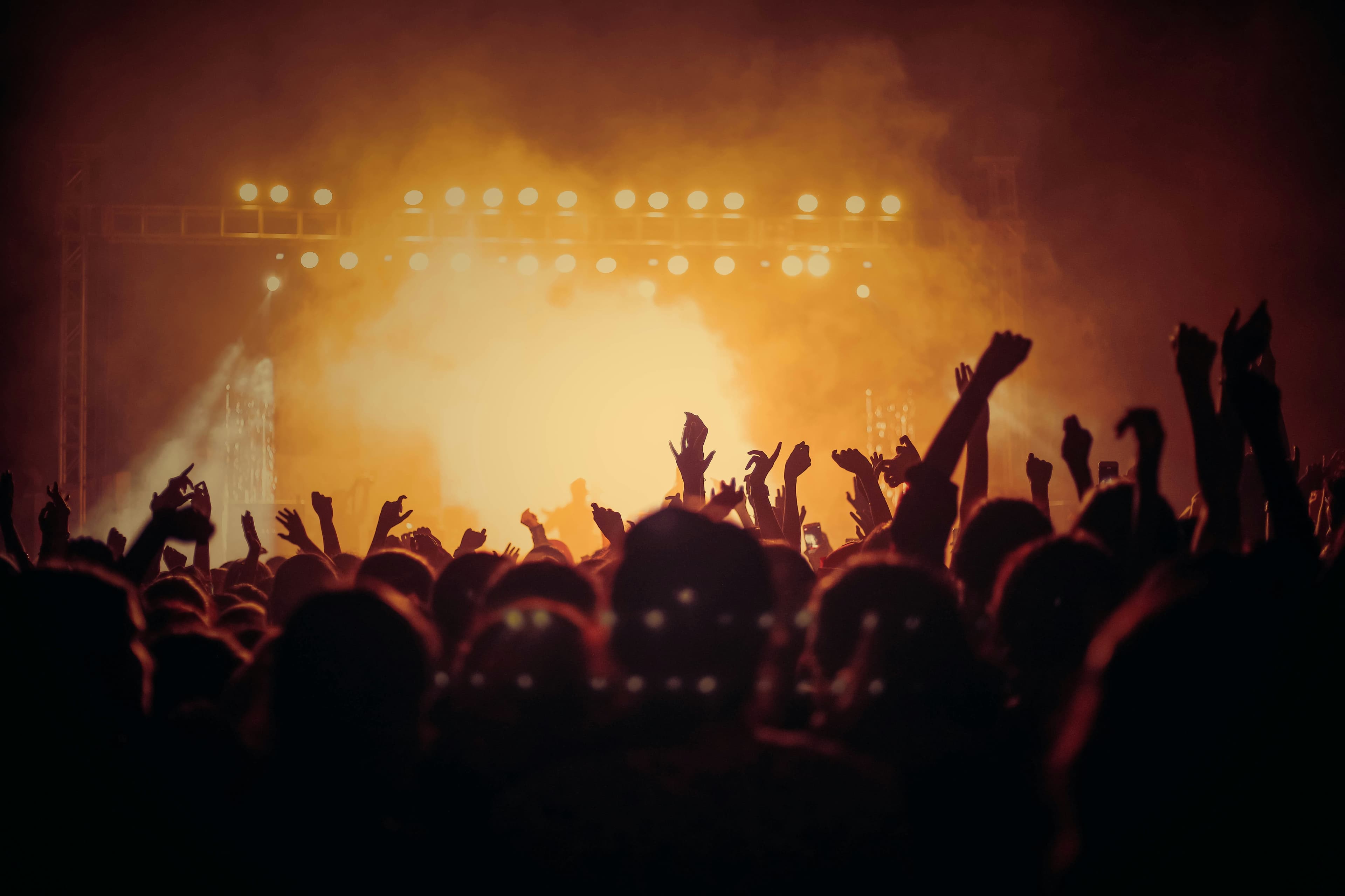 Entertainment & Artists
